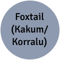 Foxtail (Kakum | Korralu)